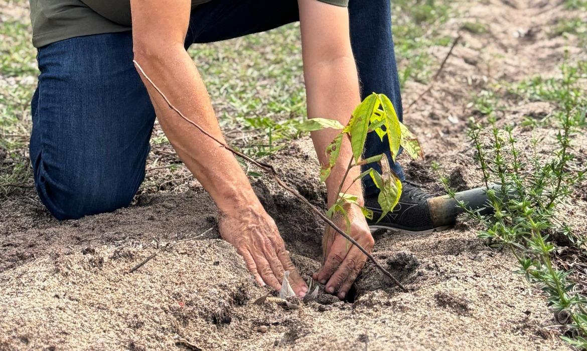 Meio Ambiente avança na recuperação de 27 hectares de restinga na Aroeiras do Riacho