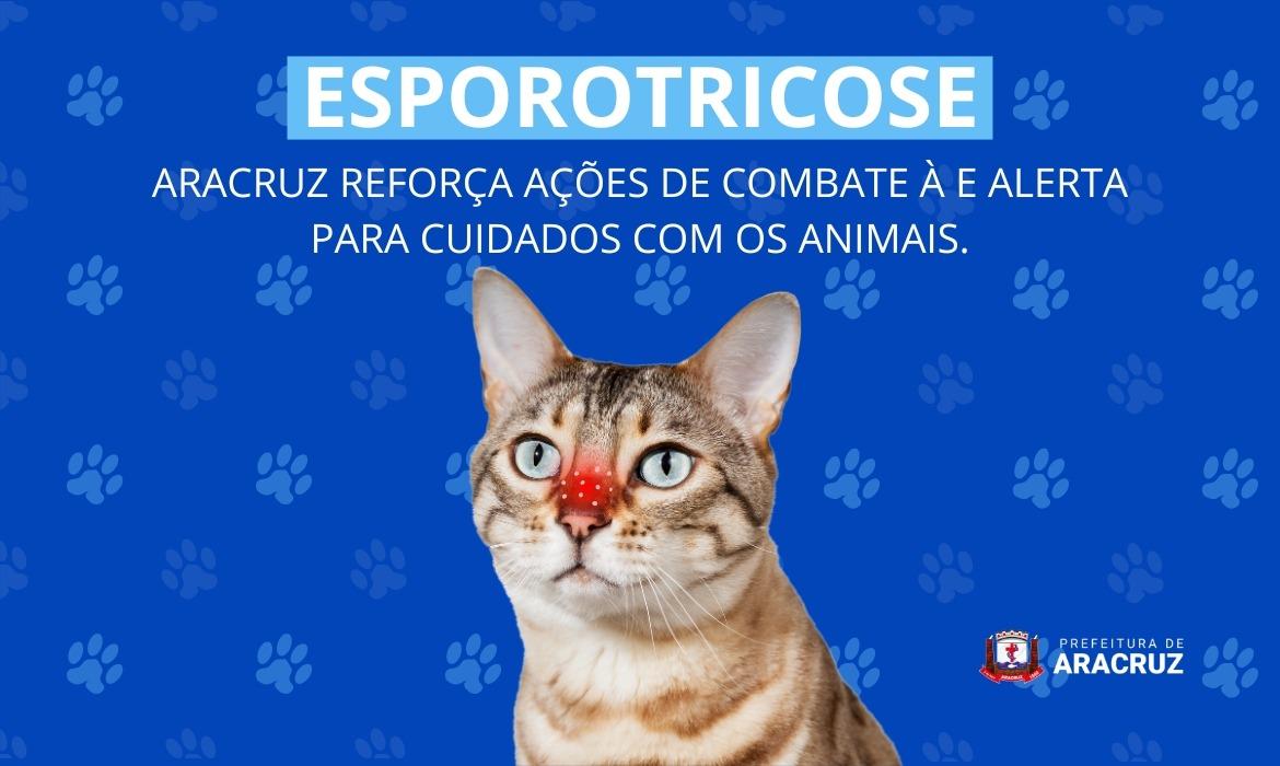 Esporotricose: Aracruz reforça ações de combate e alerta para cuidados com os animais