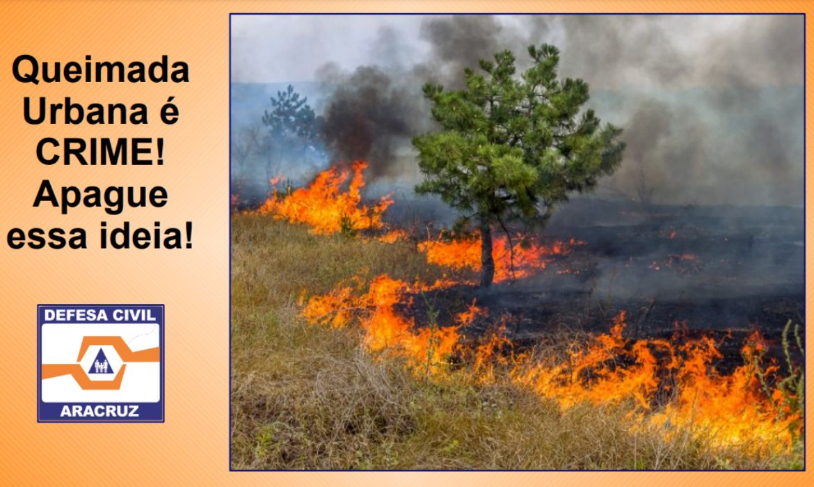 Prefeitura de Aracruz realiza palestras on-line sobre queimadas para professores da Rede Municipal de Ensino