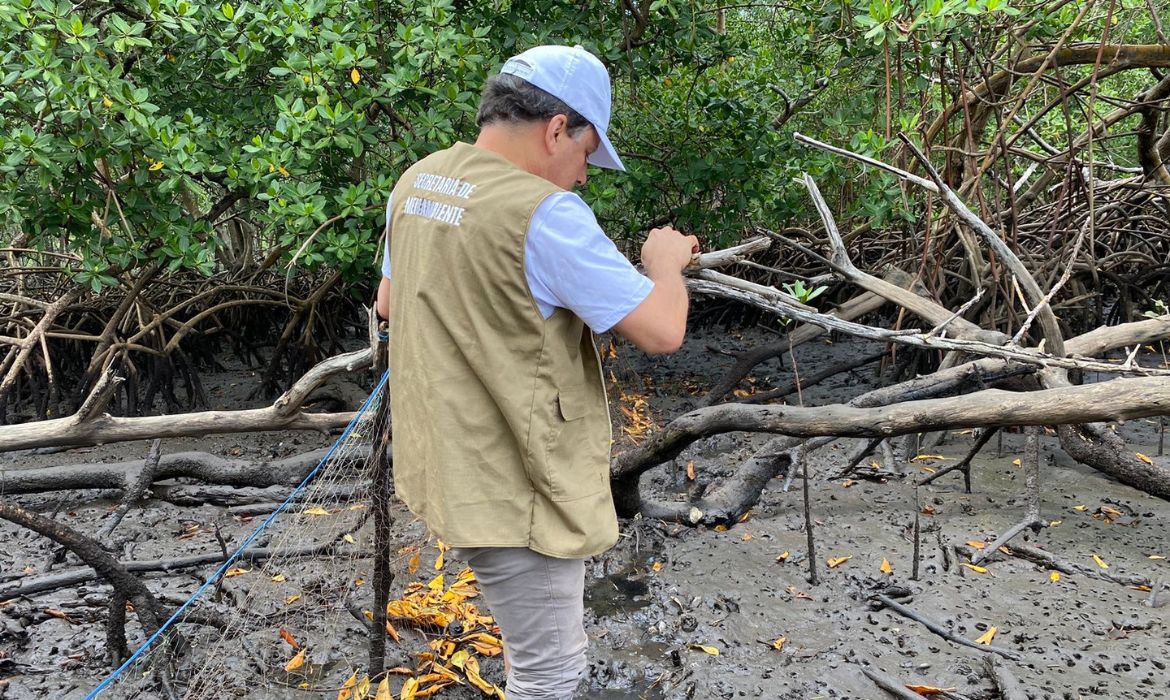 Prefeitura apreende rede de pesca de 400 metros