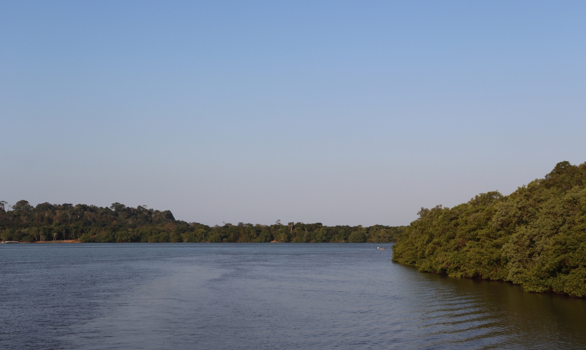 Com apoio de R$ 7 milhões do FUNBIO e parceria com a UFES prefeitura anuncia recuperação do manguezal do Piraquê-Açu