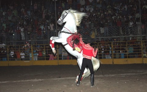 Entretenimento e agronegócios na 19º Expo Aracruz